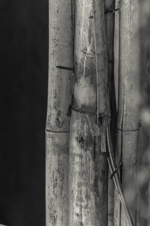 images of bamboo sticks